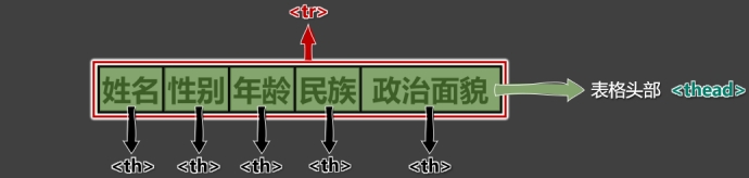 002-表格头部